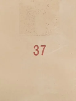 Klassische Ballerinas Größe 37