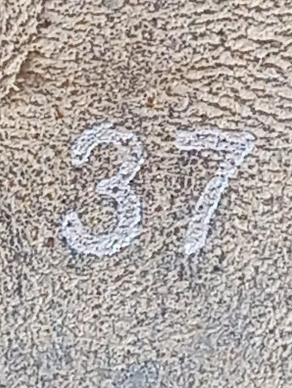 Kurzstiefel Größe 37